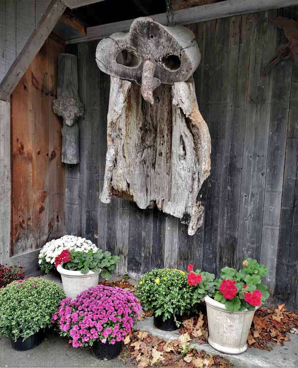 owl art